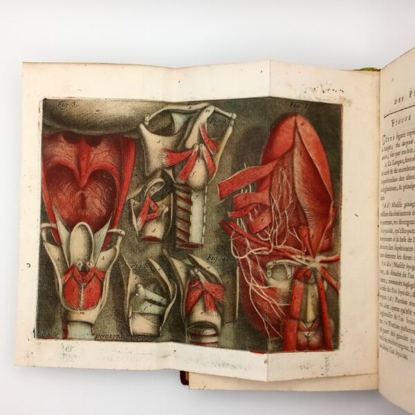 Histoire Naturelle de la Parole, Court de Gébelin, Première édition séparée & illustrée, 1776. – Image 6